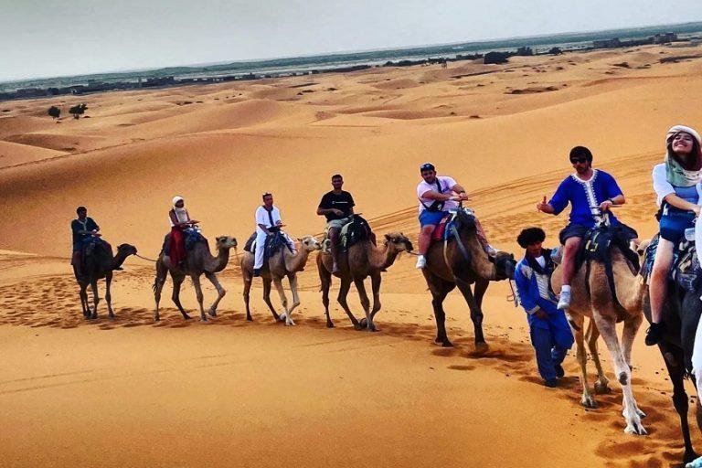 tourist ride camel in desert