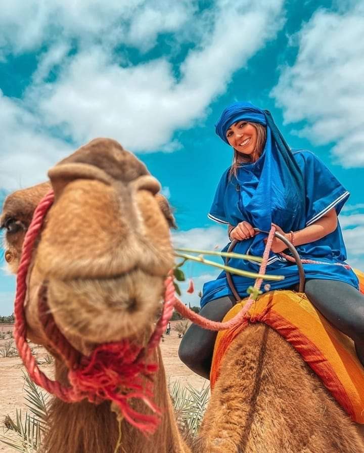 best travel with camel