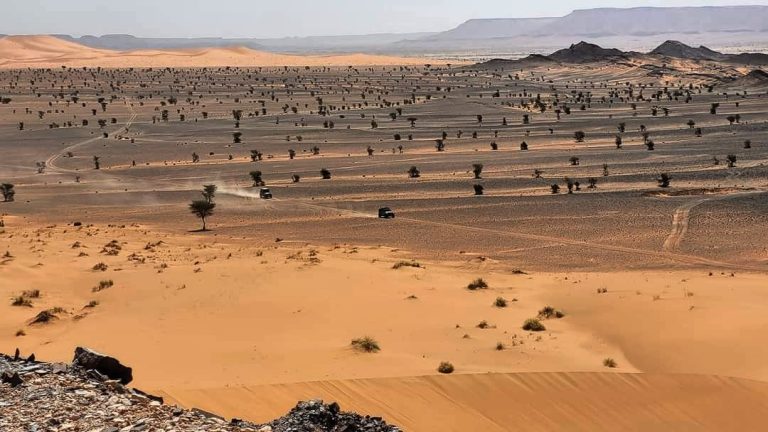 7-Day Fez to Marrakech Tour via the Sahara Desert
