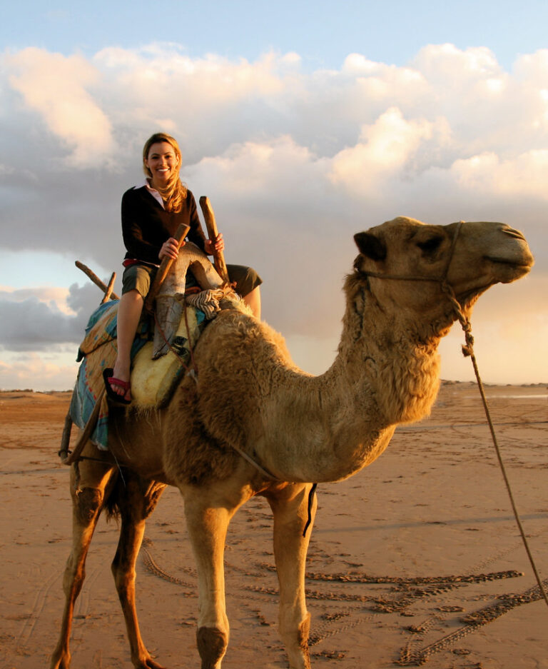 tourists woman ride camel in sahara desert