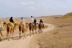 camel ride