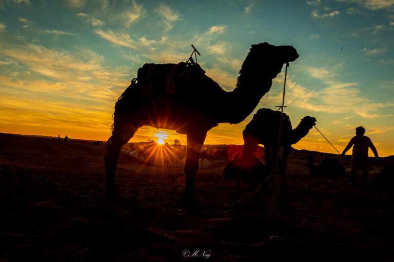 12-Day Tangier Round-Trip Tour via the Sahara