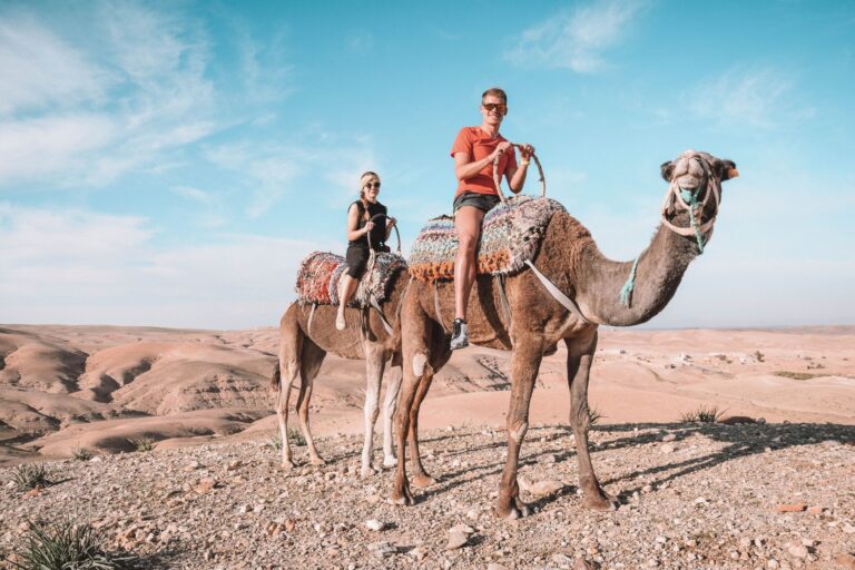 camel ride agafay