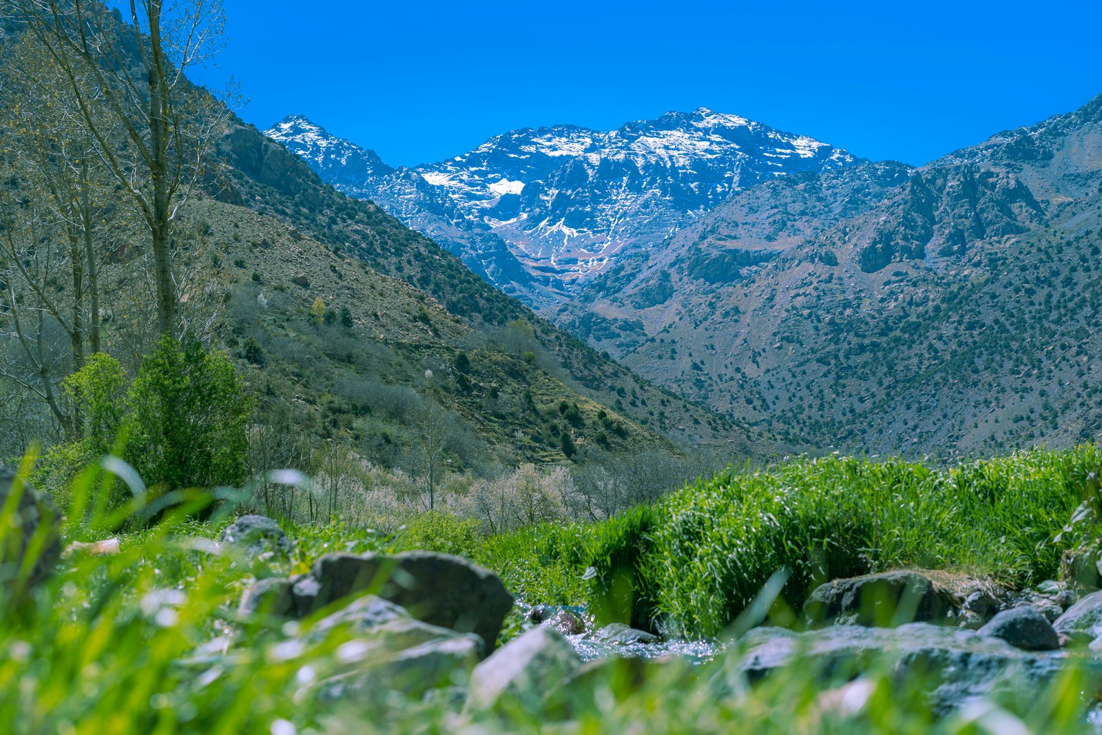 Imlil and High Atlas Day Trip from Marrakech